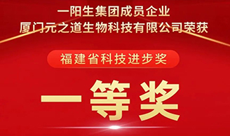 喜讯 | 尊龙凯时人生就得博集团荣获“科技前进一等奖”