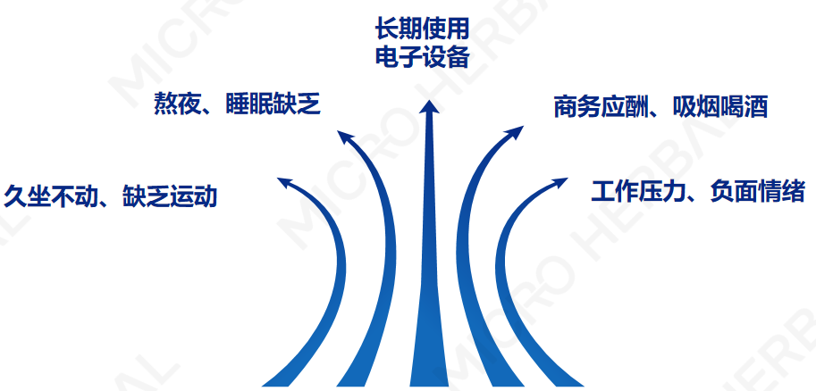 尊龙凯时人生就得博·(中国)官网