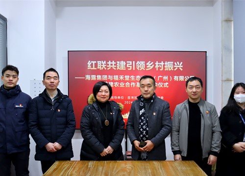 红联共建引领村落振兴，党建促业务深度融合