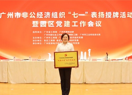 标杆引领，荣誉升级！集团党支部荣膺广州市非公有造经济组织“双强六好”标