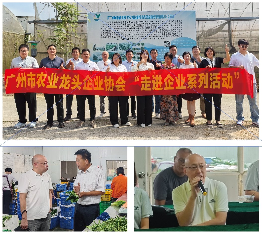 1-24101Q42051T1 Z6·人生就是博(中国区)官方网站