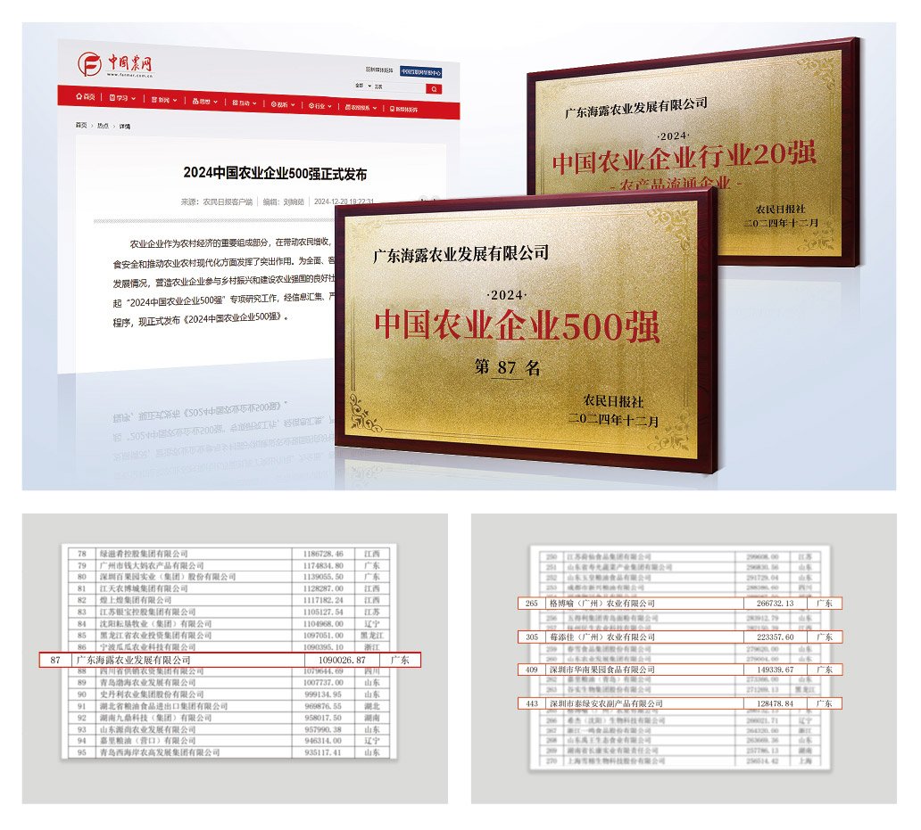 1-2412240943523B Z6·人生就是博(中国区)官方网站
