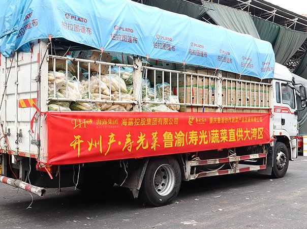 渠路赋能，集团助力沉庆开州蔬菜首发直供大湾区